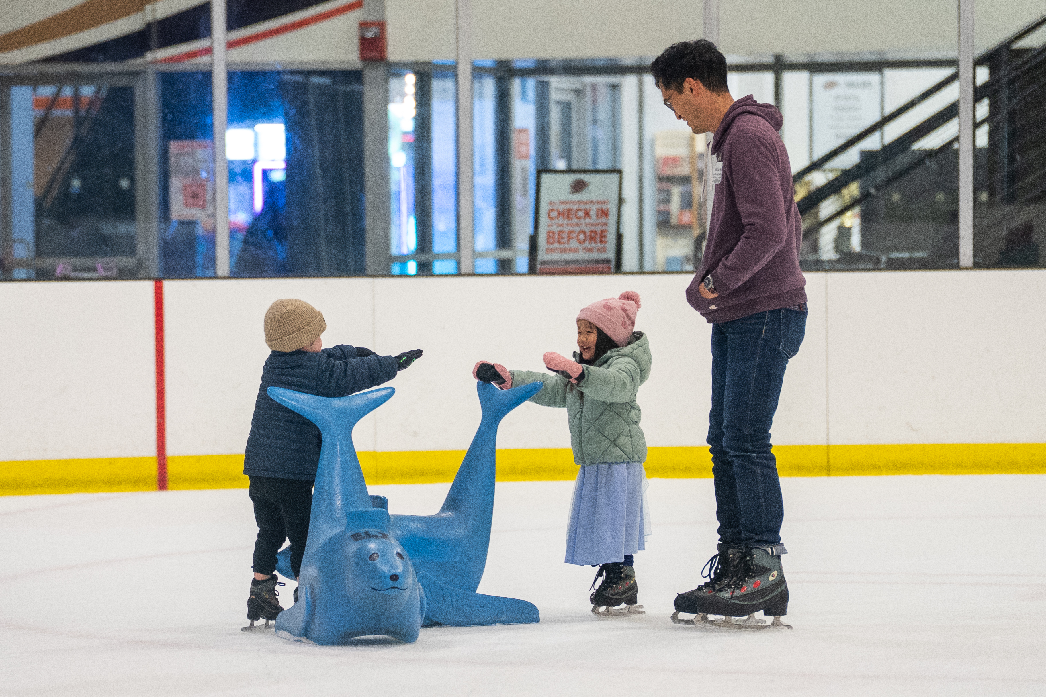 Public Ice Skating
